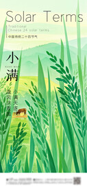小满 节气海报