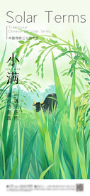 小满 节气海报