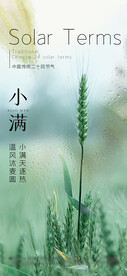 小满 节气海报