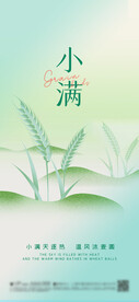 小满 节气海报