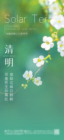 清明 节气海报