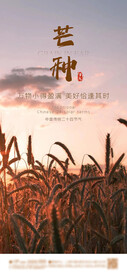 芒种 节气海报