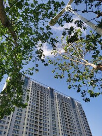 城市 天空