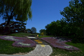 公园风景 