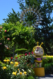 公园风景 