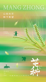 芒种