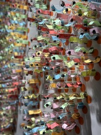 国家植物园临展展陈