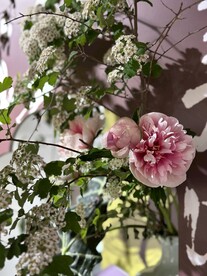 国家植物园临展鲜花