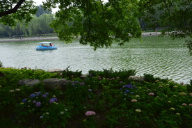 公园风景 