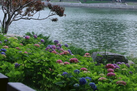 公园风景  