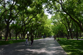 公园风景 