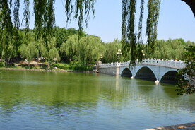 公园风景  