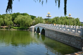 公园风景 