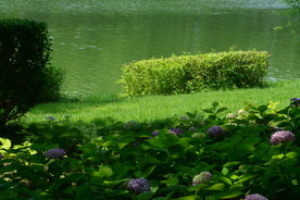 公园风景 