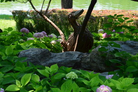 公园风景 