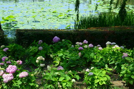 公园风景  