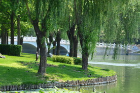 公园风景  