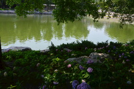 公园风景  