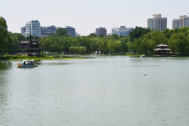 公园风景  