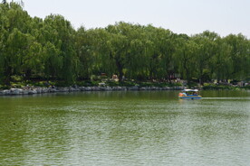 公园风景  
