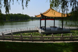 公园风景  
