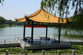 公园风景  