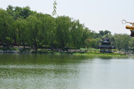 公园风景 