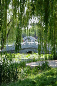 公园风景  