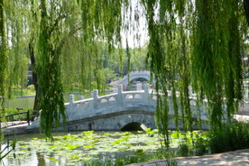 公园风景 