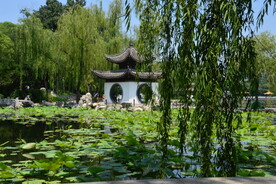 公园风景 