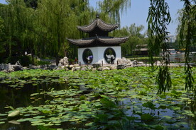 公园风景  