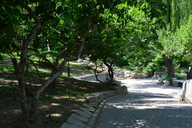 公园风景  