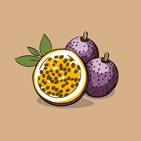 百香果水果手绘矢量插画
