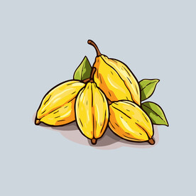 杨桃水果手绘矢量插画