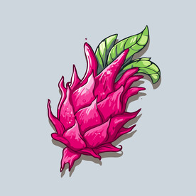 火龙果水果手绘矢量插画