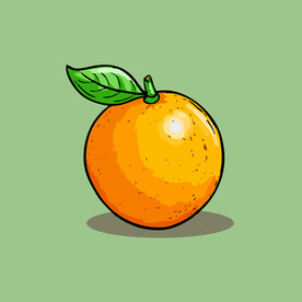 橙子水果手绘矢量插画