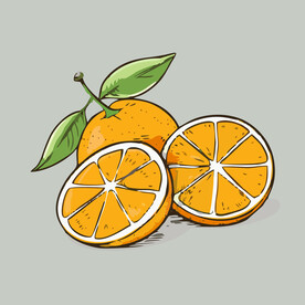 橙子水果手绘矢量插画