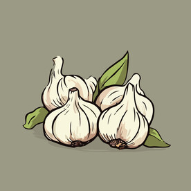 大蒜蔬菜手绘矢量插画