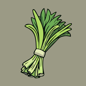 韭菜蔬菜手绘矢量插画