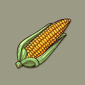 玉米蔬菜手绘矢量插画