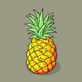 菠萝水果手绘矢量插画