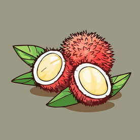 荔枝水果手绘矢量插画