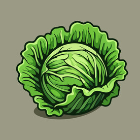 包菜蔬菜手绘矢量插画