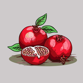 石榴水果手绘矢量插画