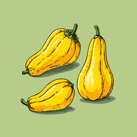 南瓜蔬菜手绘矢量插画