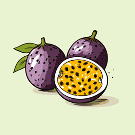 百香果水果手绘矢量插画