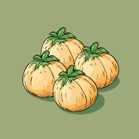 山竹水果手绘矢量插画