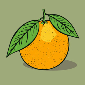 橙子水果手绘矢量插画