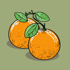 橙子水果手绘矢量插画