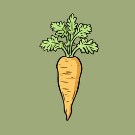 胡萝卜蔬菜手绘矢量插画